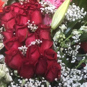 Meet your Posher, Nora